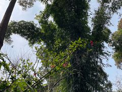 -成都杜甫草堂博物馆