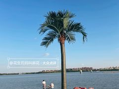-武清南湖绿博园