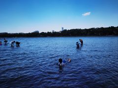 -长春市南湖公园