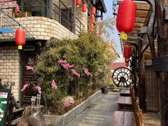 -慢丽江·云南野生菌土鸡锅(付家庄店)