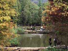 -云溪植物园