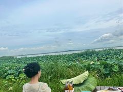 -七的湖·晚芳亭·阳澄湖农家菜·大闸蟹(莲花岛店)