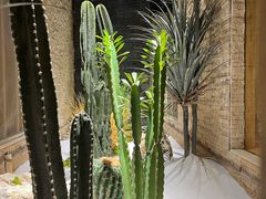 -阿斯牛牛·凉山菜(新会展店)