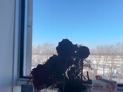 -圣彼得堡观江俄餐厅(中央大街黑金冠店)