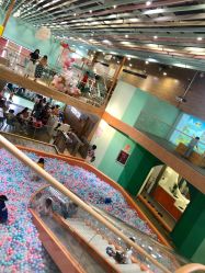 -泡泡米POPOME益智乐园(洪殿花园旗舰店)