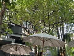 -Fern Forest Cafe