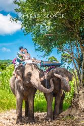 -四叶草环球旅拍