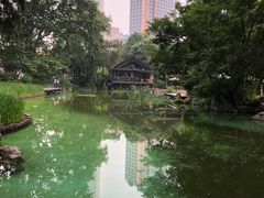 -静安公园(静安寺街道)