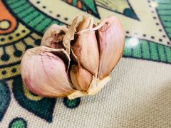 -新疆红柳花餐厅(新洲店)