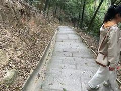-火炉山森林公园