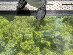 -呀诺达热带雨林