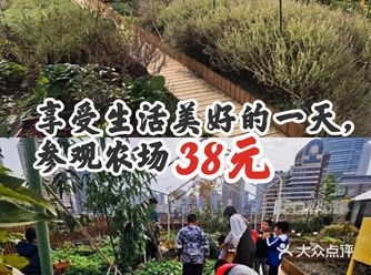 享受生活美好的一天，参观农场38元