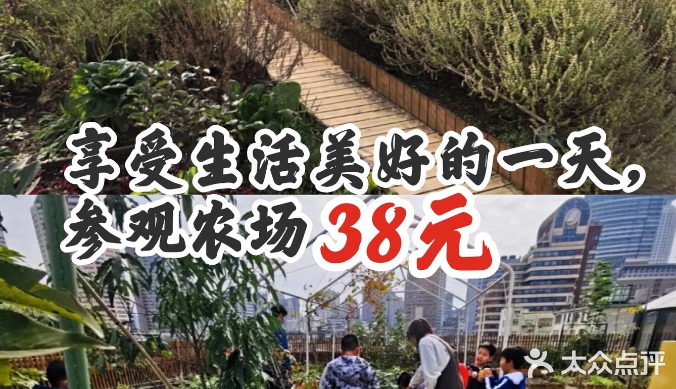 享受生活美好的一天，参观农场38元