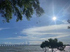 -宝安西湾红树林湿地公园