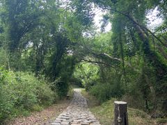 -盘龙城国家考古遗址公园