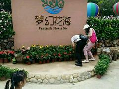 -观澜山水田园
