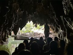 -怀托摩萤火虫洞