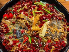 -老板恋上鱼(恒隆广场店)