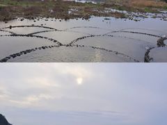 -杭州植物园