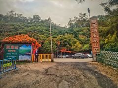 -鲤鱼塘农家山庄