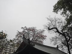 -光孝寺