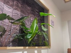 -脊美正骨·推拿·整脊(KKmall京基100店)