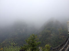 iphone_upload_pic-王顺山国家森林公园