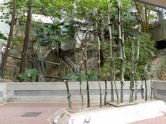 -香港大学