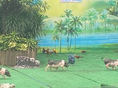 -广州长隆飞鸟乐园
