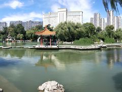 -西苑公园