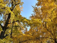 -四川大学(华西校区)