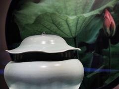 -四川宋瓷博物馆