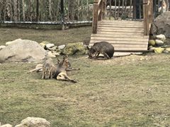 -祥源·阜阳生态乐园