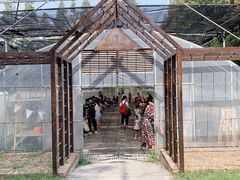 -前小桔亲子创意农场·草莓采摘·露营烧烤