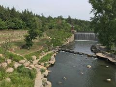 -美人松苑