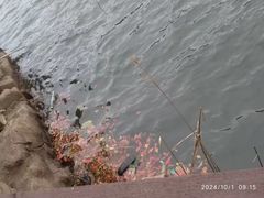-石燕湖生态旅游景区