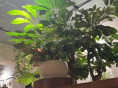 -懒人盐府人家·自贡大麻鱼(安贞店)