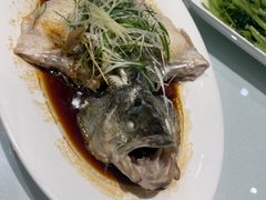 清蒸鲈鱼-周锦记广式餐厅(格林生活坊2期店)