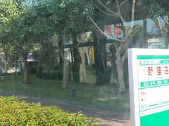 -野狸岛
