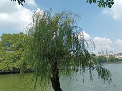 -东山湖公园