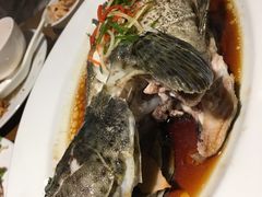 清蒸老虎斑-泰华海鲜中餐厅(普吉镇店)