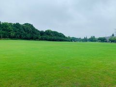 -昆山城市生态森林公园