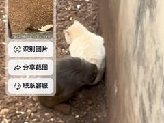 -昆明动物园
