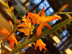 -杭州西子湖四季酒店·金沙厅