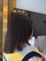-YESIDO椰岛造型