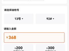 -中国能源朝平加油站