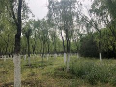-东郊湿地公园