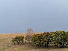-御道口草原森林风景区