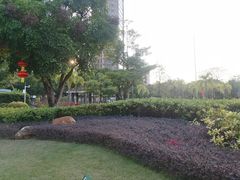 -荔湾区儿童公园