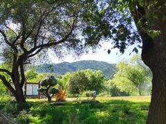 -北京西山国家森林公园